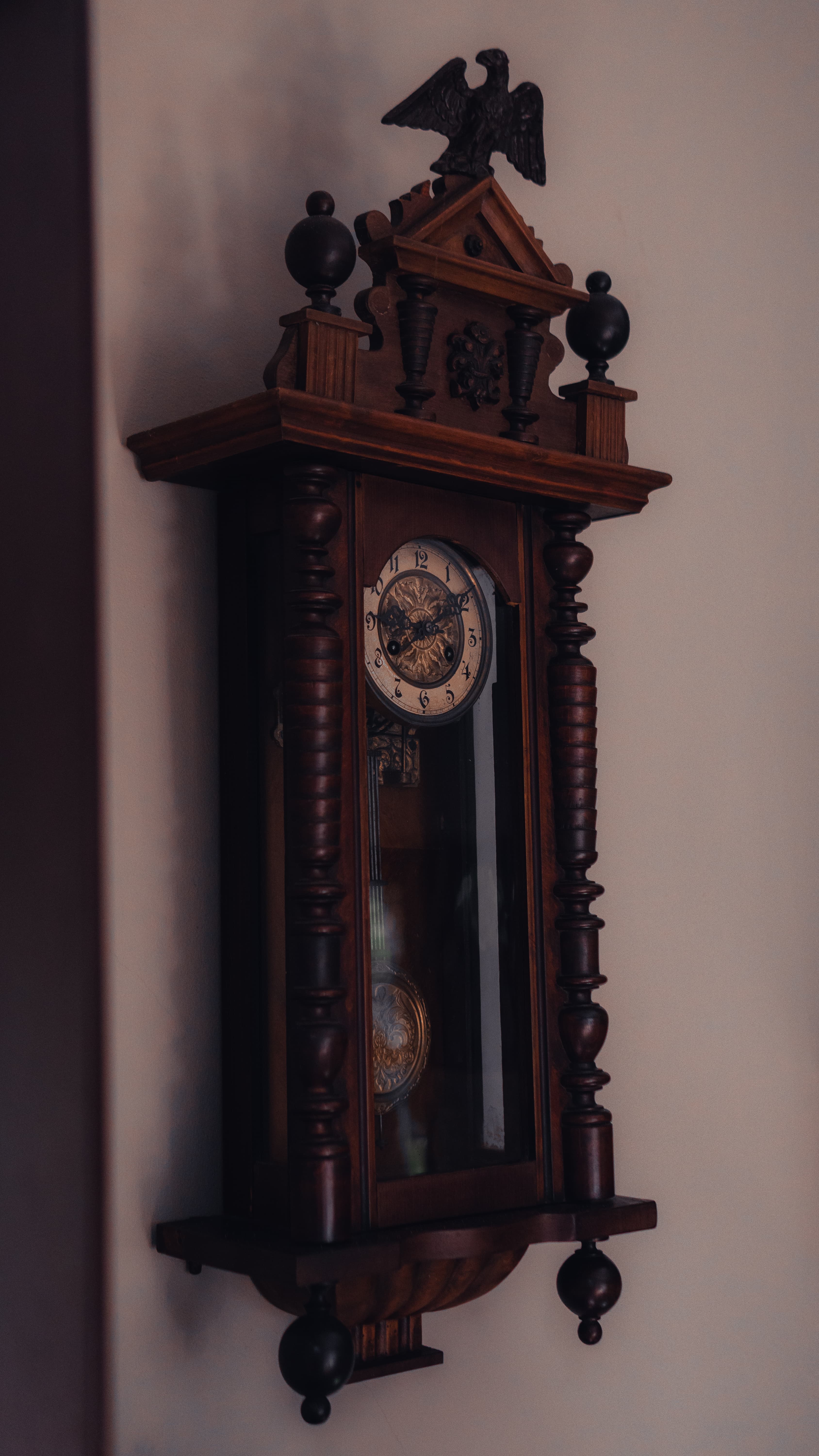 Casa dos Passaros — foto 2