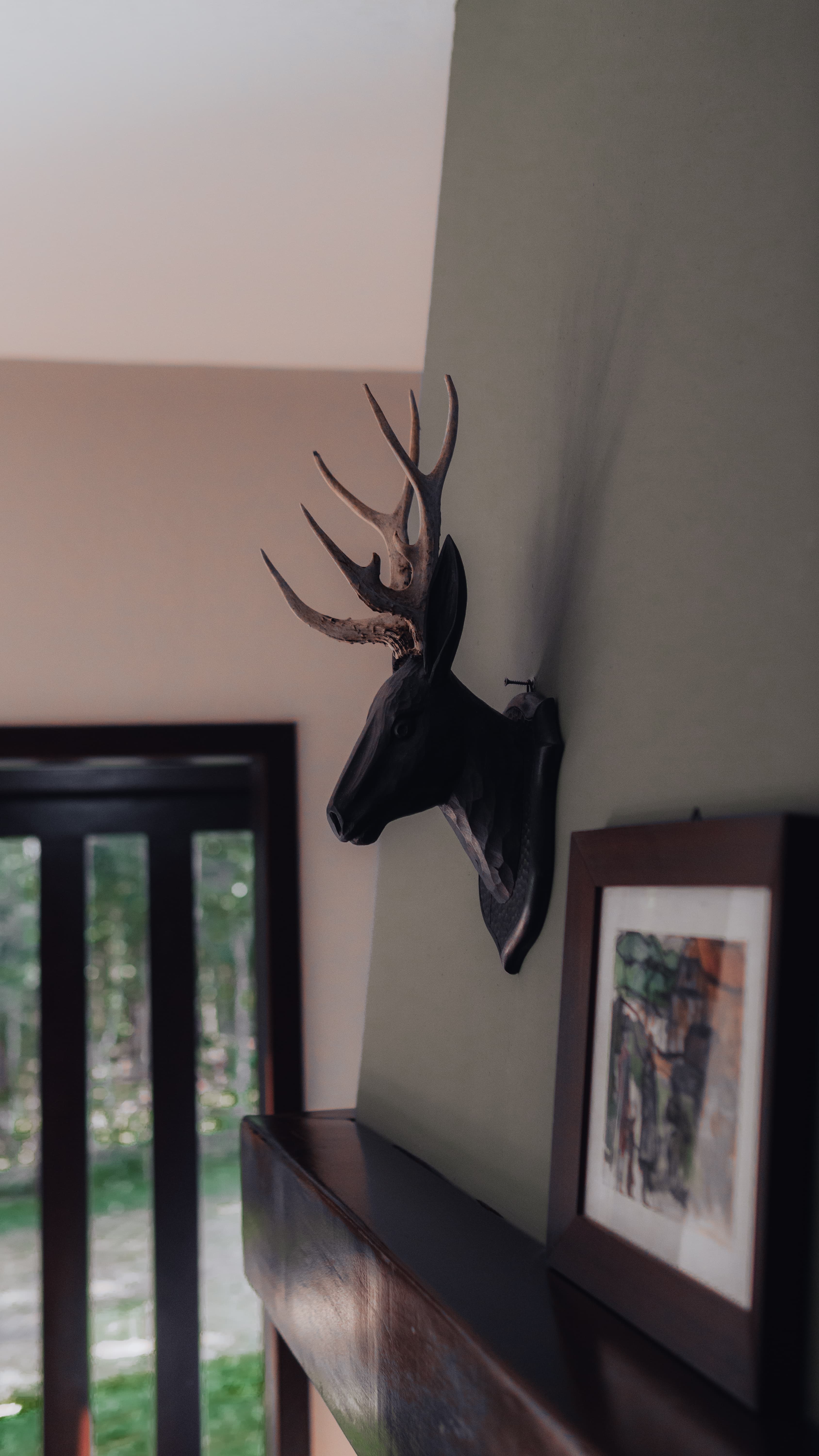 Casa dos Passaros — foto 3