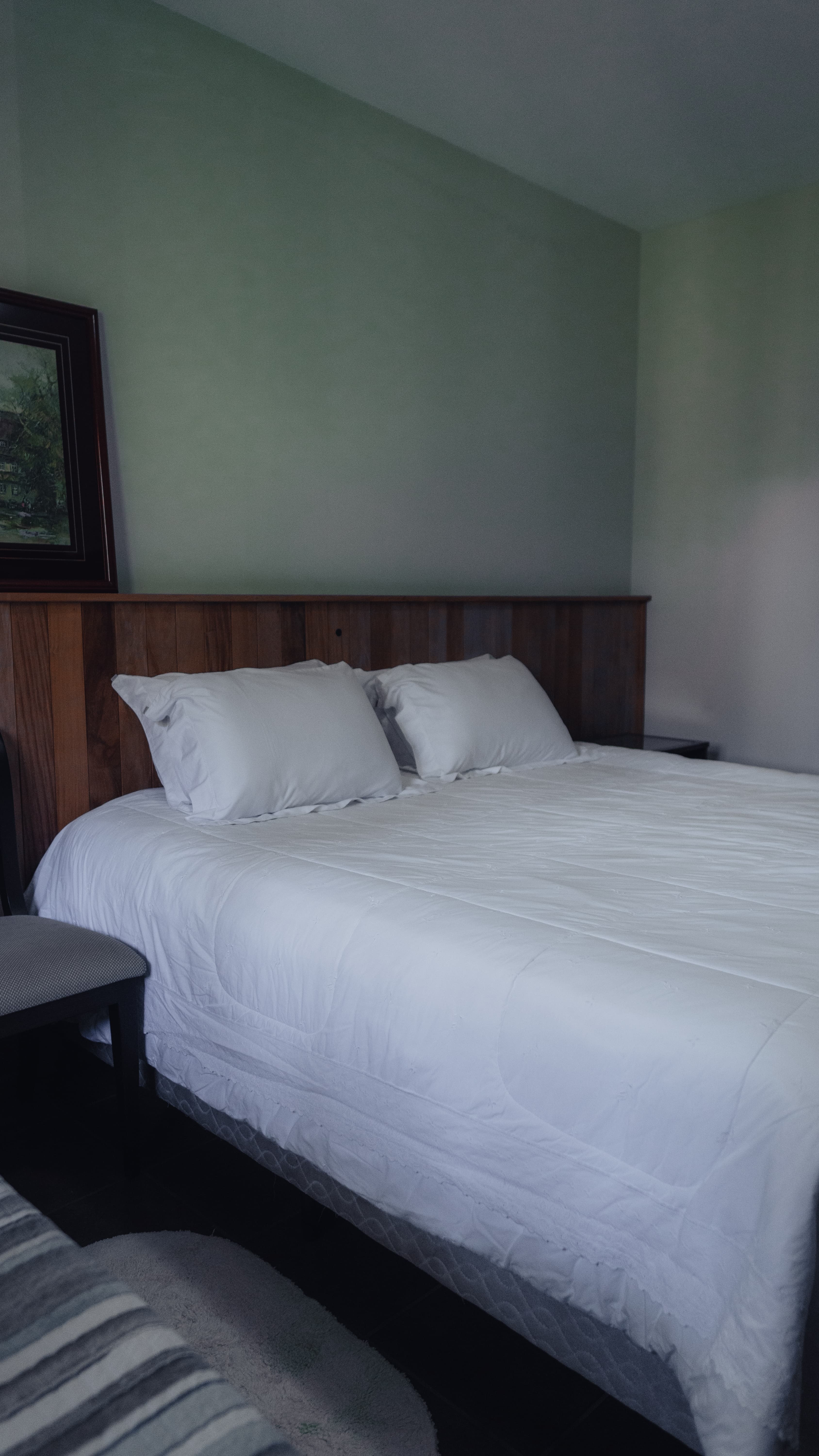 Casa dos Passaros — foto 7